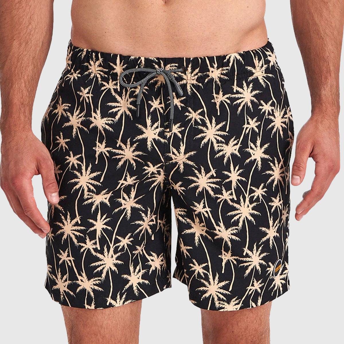 swimshort painted palms | shiwi | 1421110137-999 | zwembroek